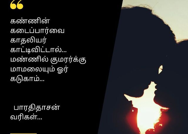 பாரதிதாசன்