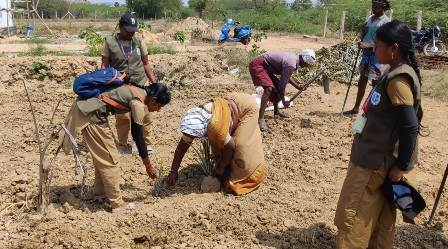 புதுக்கோட்டை