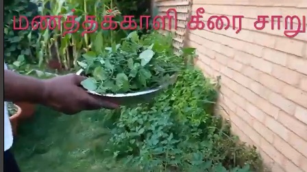 அயலகத்தமிழர்கள்